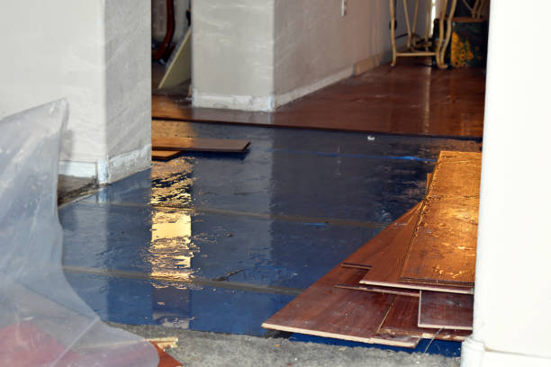 Professional Sewage Cleanup technician working in Kingston, MI